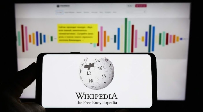 Experienced Wikipedia Profile Creation Services In Delhi